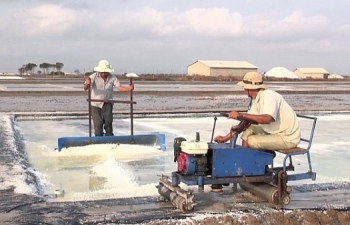 Mở rộng diện tích sản xuất muối quy mô công nghiệp trong 2019