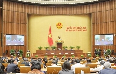 Quốc hội thảo luận về công tác nhiệm kỳ 2016-2021 của Chính phủ, Chủ tịch nước