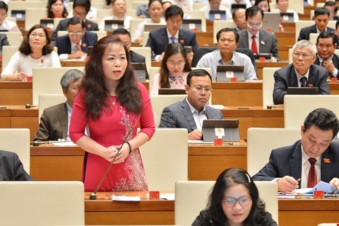 Đại biểu Vũ Thị Lưu Mai - Đoàn đại biểu Quốc hội Tp. Hà Nội, phát biểu tại phiên thảo luận.