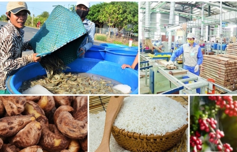 Trị giá xuất khẩu 10 loại nông sản tăng mạnh
