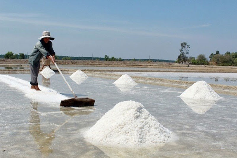 Việt Nam nhập khẩu hàng tỷ USD muối dù nhiều tiềm năng phát triển