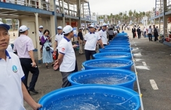 Việt Nam và Trung Quốc thả gần 5,3 triệu con giống thủy sản xuống biển