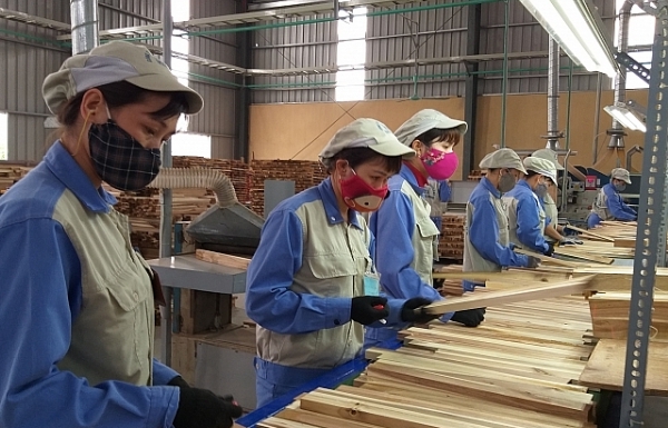 Covid-19 đẩy ngành gỗ Việt vào một năm đầy biến động