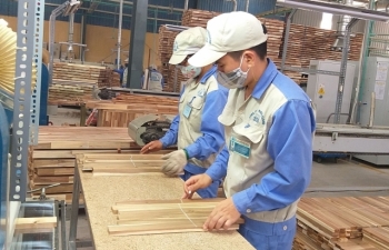 Mạnh tay loại bỏ gỗ bất hợp pháp để thúc xuất khẩu gỗ