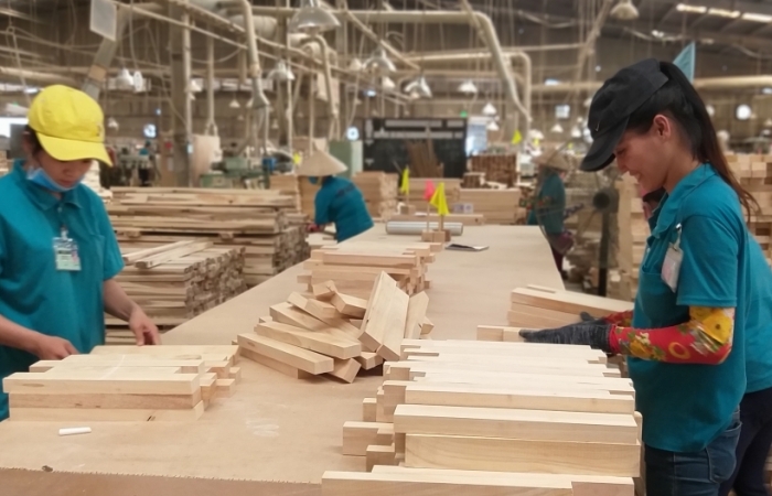 Trung Quốc dồn vốn vào ngành gỗ, lo đầu tư “núp bóng”?