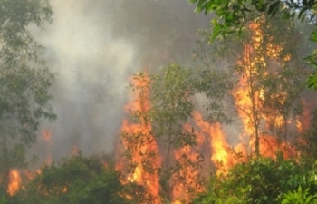 Nhiều địa phương có nguy cơ cháy rừng rất cao