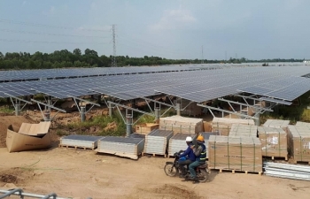 Hơn 30 nhà máy điện mặt trời vận hành trong tháng 6