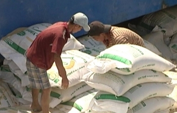 Dùng dằng, Việt Nam có thể mất cơ hội xuất khẩu gạo giá cao