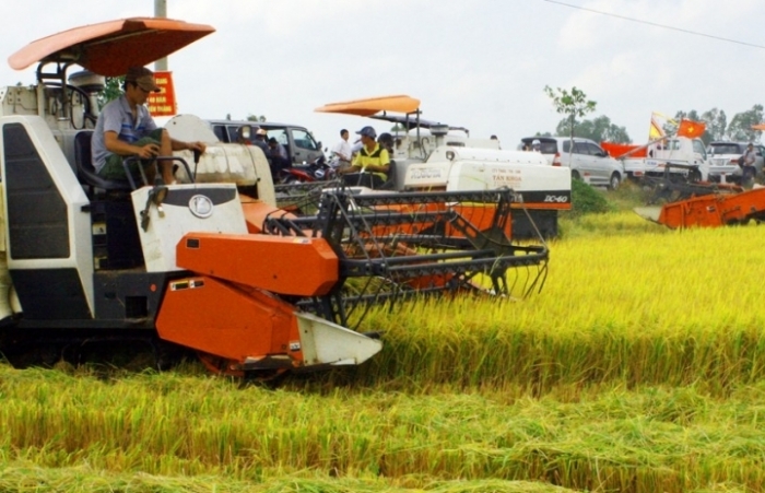 Đề nghị hỗ trợ lãi suất cho doanh nghiệp thu mua thóc, gạo tại ĐBSCL