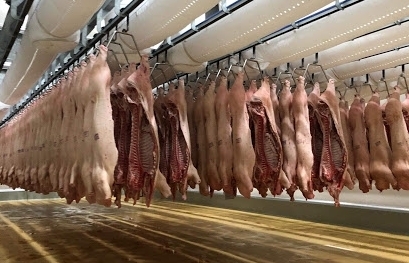Thiếu thịt lợn, Bộ Nông nghiệp đề nghị giảm thuế nhập khẩu