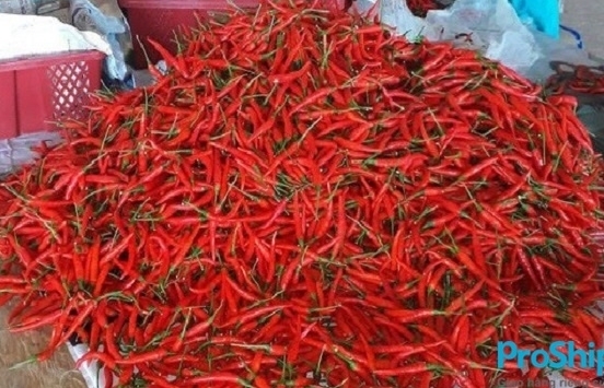 Thông tin Trung Quốc cấm nhập khẩu ớt Việt Nam không chính xác