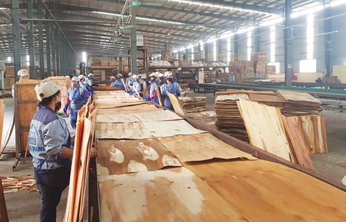 Hoa Kỳ gia hạn thời gian kết luận điều tra phòng vệ thương mại gỗ dán cứng