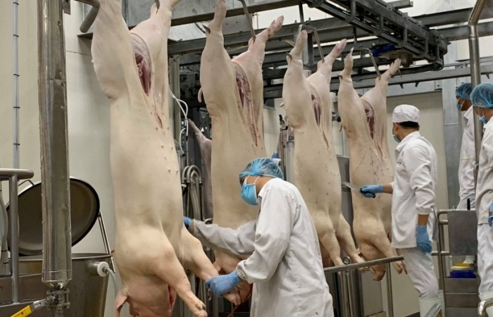 Giá thịt lợn toàn cầu sẽ tăng cao do Nga cấm xuất khẩu?