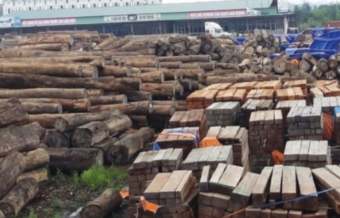 Doanh nghiệp gỗ lao đao vì chậm được CITES Việt Nam cấp giấy phép