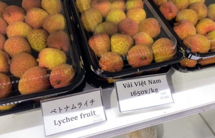 Vải thiều Bắc Giang lên kệ siêu thị tại Nhật Bản, giá cao nhất 500.000 đồng/kg