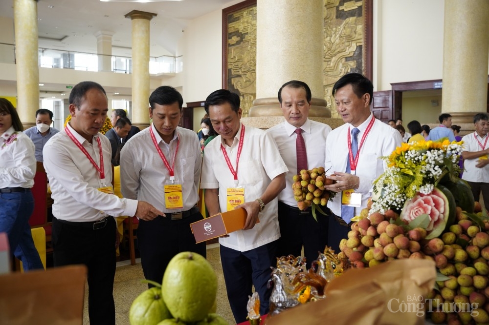 Bắc Giang giới thiệu vải thiều và sản phẩm nông sản chủ lực của tỉnh với các đại biểu