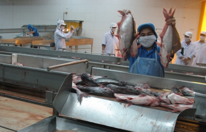 Nhiều lô cá da trơn bị Campuchia trả về, Bộ Công Thương nói gì?