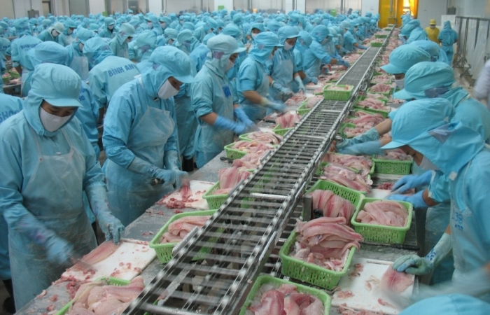 Trung Quốc và Mỹ chiếm hơn 50% trị giá xuất khẩu cá tra
