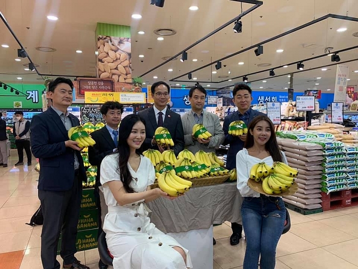 Chuối Việt Nam lần đầu xuất hiện tại thị trường bán lẻ Hàn Quốc