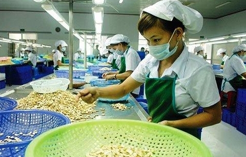 Khách hàng Mỹ gửi thư đề nghị Thủ tướng ưu tiên tiêm vắc xin cho ngành Điều Việt Nam