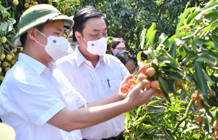 Trung Quốc thiết lập 14 khu tập kết để đón nông sản Việt thu hoạch rộ