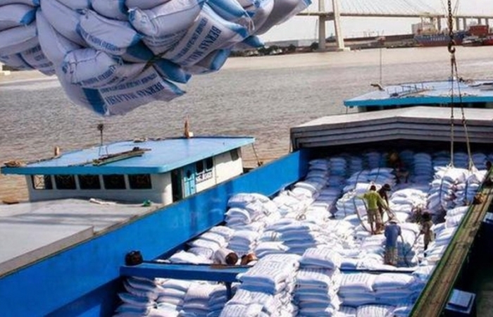 Lập đoàn công tác kiểm tra 5 doanh nghiệp xuất nhập khẩu gạo