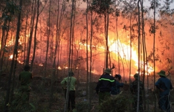 5 ngày, 15 vụ cháy rừng, thiêu rụi trên 100 ha