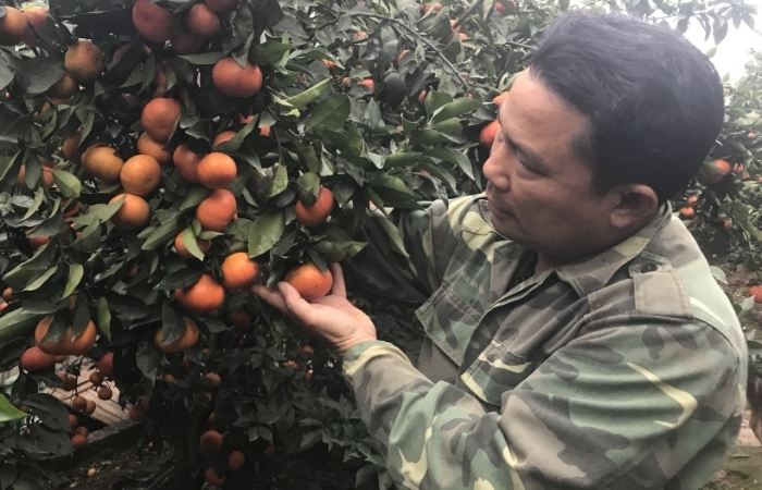 Algeria tạm ngừng nhập khẩu 13 mặt hàng trái cây