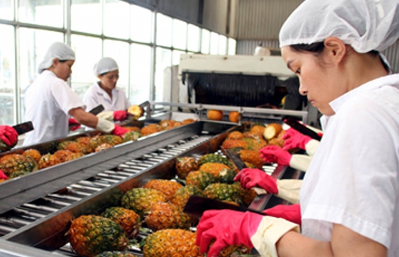 Bắc Âu chuộng rau quả nhiệt đới, doanh nghiệp Việt làm sao tận dụng?
