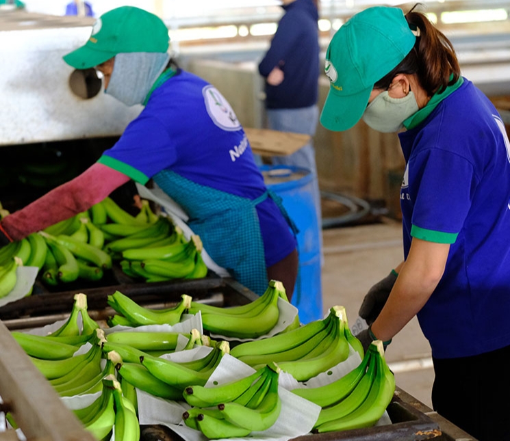 Khẩn trương xây dựng Nghị định thư xuất khẩu 8 loại trái cây sang Trung Quốc