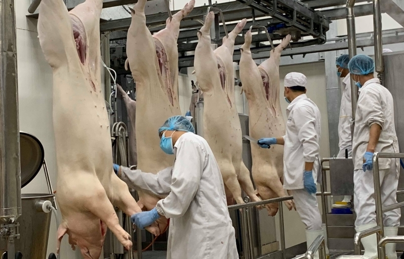 Sát Tết giá thịt lợn tăng, Bộ Công Thương muốn tạo thuận lợi tối đa cho nhập khẩu