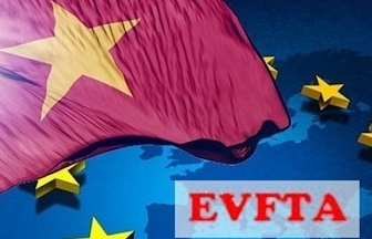 Chỉ định các cơ quan đầu mối để triển khai Hiệp định EVFTA