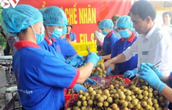 Việt Nam cần lưu ý điều gì khi Trung Quốc cấm vô thời hạn với nhãn Thái Lan?