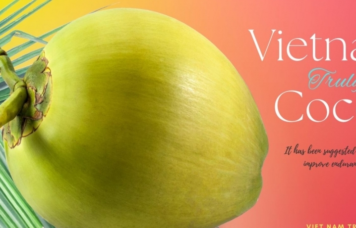 Xuất khẩu tăng mạnh, dừa Việt xuất hiện tại siêu thị lớn nhất Australia