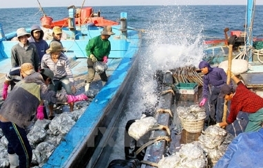 Vùng đánh cá chung Việt Nam-Trung Quốc hết hiệu lực