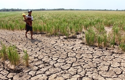 Biến đổi khí hậu là thách thức lớn nhất với sản xuất lương thực ASEAN