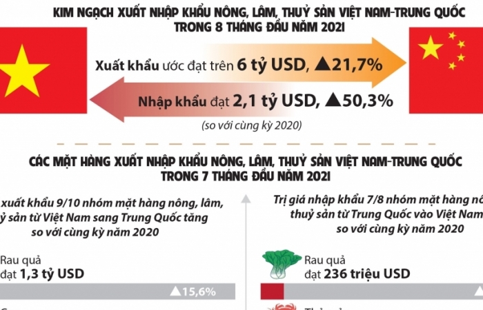 infographics xuat khau 9 nhom mat hang nong san sang trung quoc tang manh