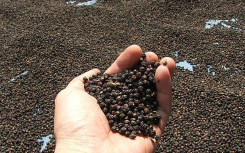 8 nhóm hàng xuất khẩu tỷ đô của ngành nông nghiệp