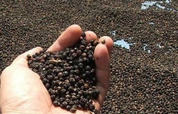 8 nhóm hàng xuất khẩu tỷ đô của ngành nông nghiệp