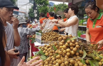 Làm gì để nông sản Việt chiếm lĩnh "chợ" thế giới?