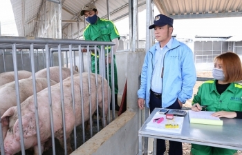 Bộ trưởng NN&PTNT : Không xuất lợn tiểu ngạch sang Trung Quốc
