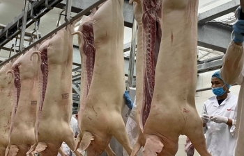 9 tháng năm nay Việt Nam nhập thịt lợn vượt cả năm ngoái
