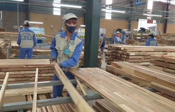 Mỹ điều tra xuất xứ, gỗ Việt cuống cuồng lo loạt thị trường khởi xướng
