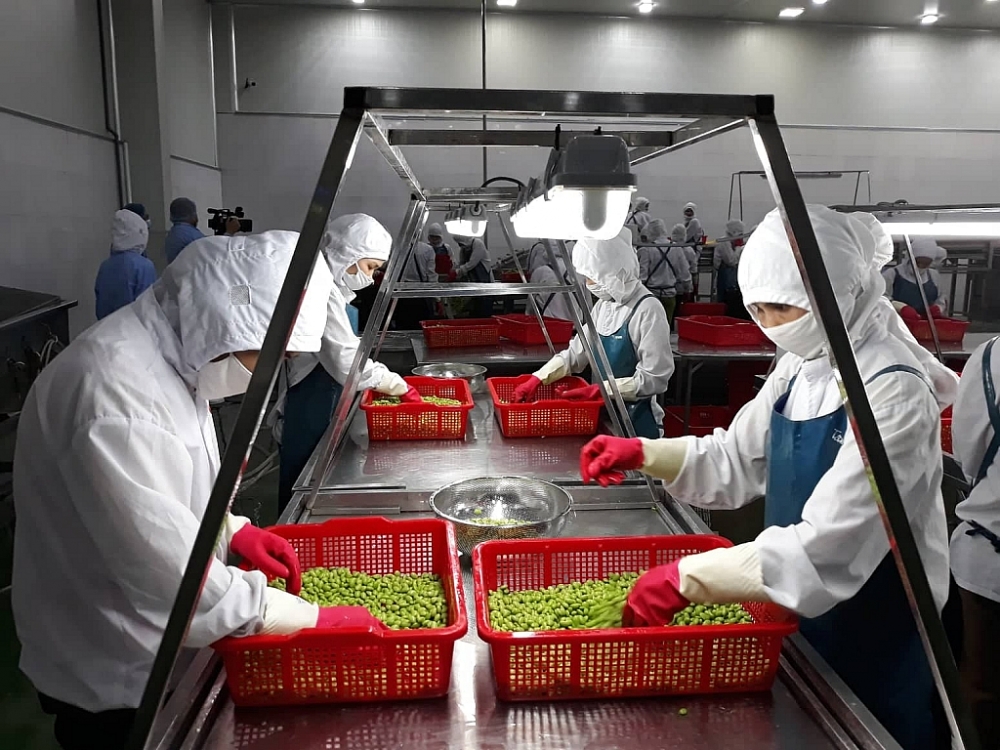 Đến năm 2050, Việt Nam trở thành nước có nền nông nghiệp hàng đầu thế giới