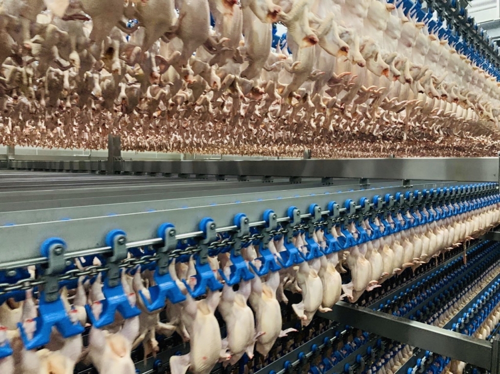 Xuất khẩu lô thịt gà chế biến đầu tiên sang Nhật Bản