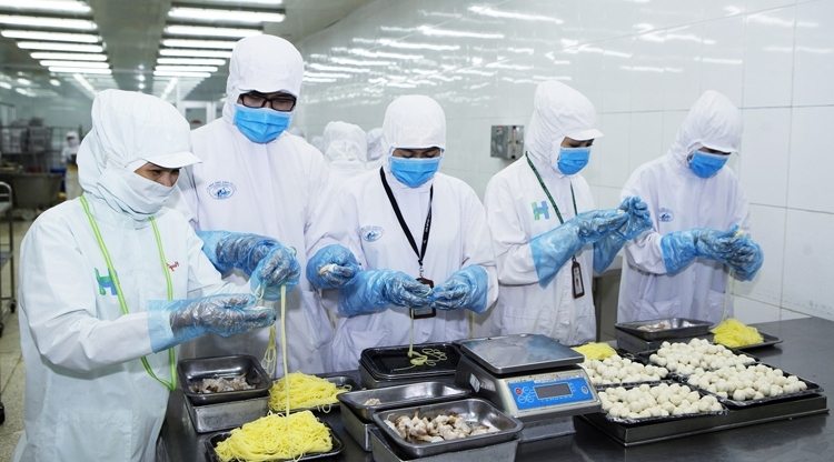 Hoàn tất đăng ký doanh nghiệp sản xuất thực phẩm xuất khẩu đi Trung Quốc