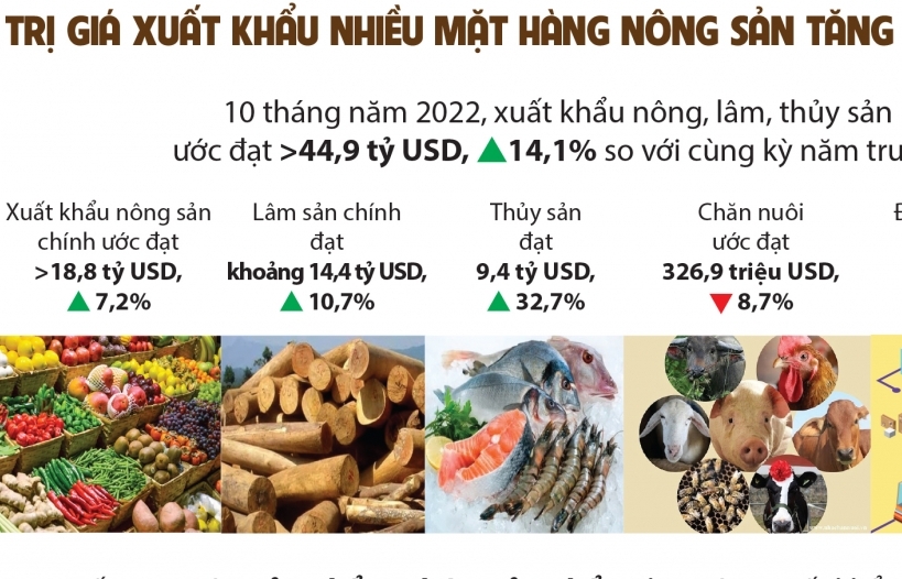 Infographics: Trị giá xuất khẩu nhiều mặt hàng nông sản tăng ấn tượng