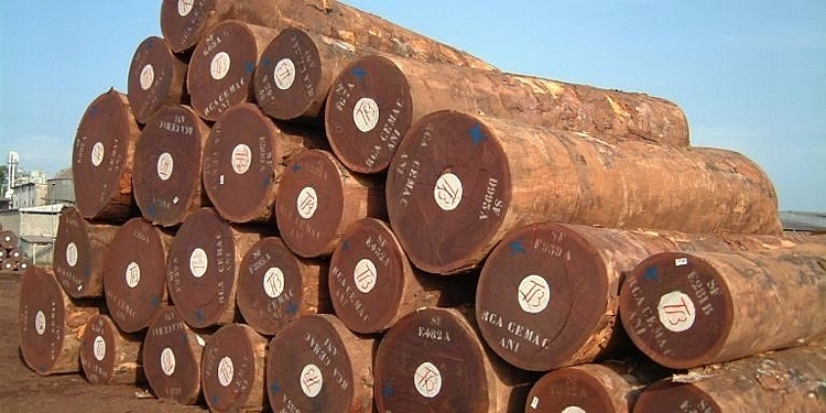 Nhập khẩu nửa tỷ USD gỗ châu Phi vẫn mù mờ thông tin về tính hợp pháp