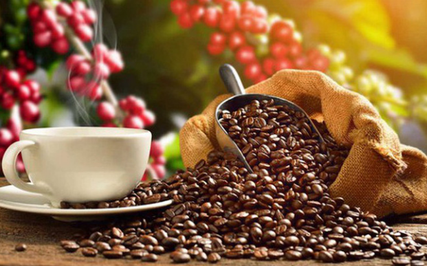 Thị phần cà phê Việt Nam tại Trung Quốc giảm mạnh