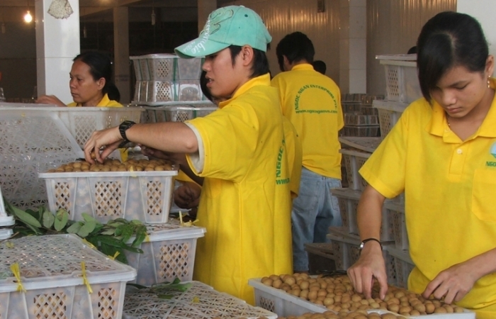 Mở cửa thị trường cho loạt nông sản vào Trung Quốc, Nhật Bản, New Zealand
